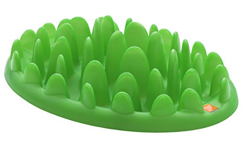 Northmate® Green - interaktiver Napf L: 40 cm B: 30 cm H: 10 cm grün