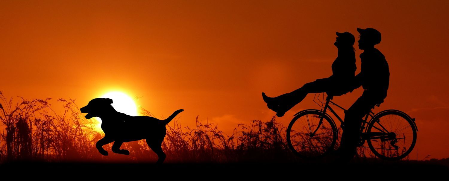 Silhouette von Pärchen auf Fahrrad und rennender Hund vor Sonennuntergang