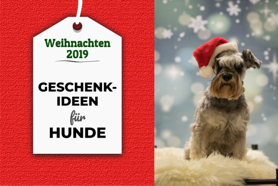 🎁 Weihnachtsgeschenke für Hunde 2019 65 großartige Geschenkideen für