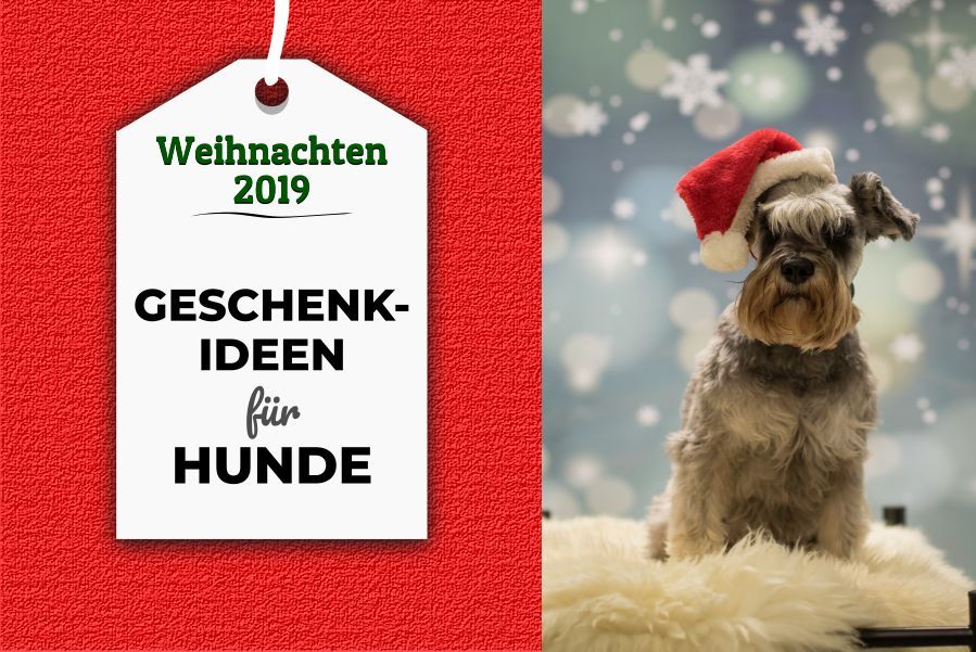 🎁 Weihnachtsgeschenke für Hunde 65 großartige Geschenkideen für den