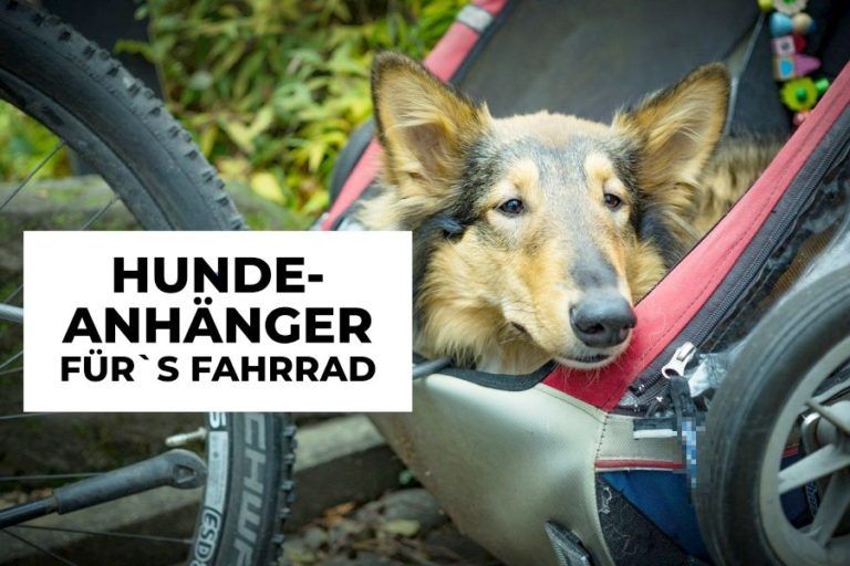 Hundeanhänger für`s Fahrrad HundeFunde