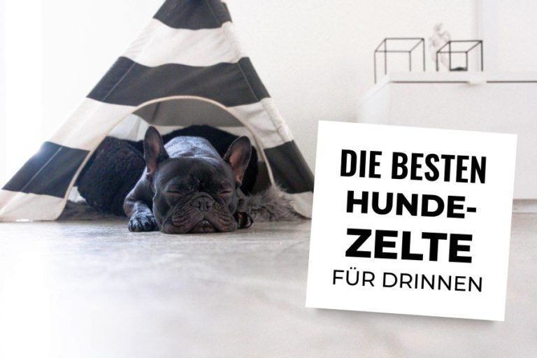 Loir Fluffy Hundebett Donut 90 Cm – Weiches Plüschbett Rund, Waschbar, Für Große Hunde