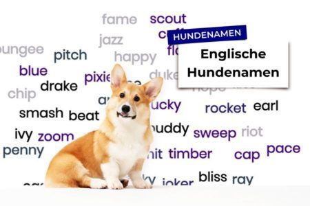 Hundenamen Auf Englisch