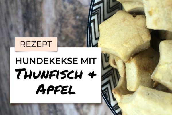 Hundekekse mit Thunfisch und Apfel HundeFunde