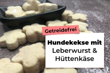 Hundekekse mit Quark und Haferflocken | HundeFunde